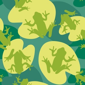 Frogs and leaves