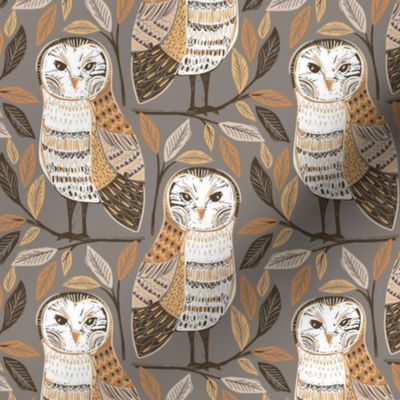 Barn Owls small grey