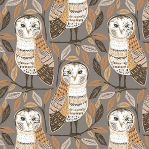 Barn Owls small grey