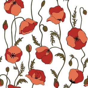 Red poppies on white background 