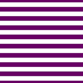 FS Purple and White One Inch Stripe 