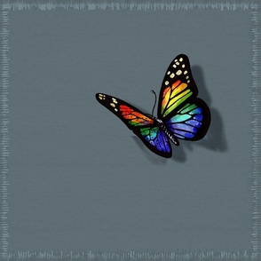 (18x18in) Happy Rainbow Butterfly with border / throw pillow size panel