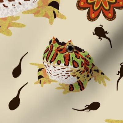 Ornate Horned Leap Frog