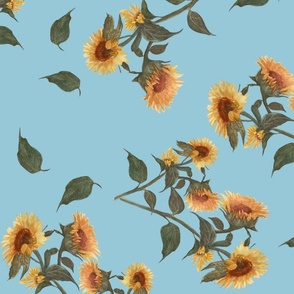 Sunflower debut sky blue