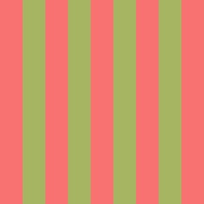 2 inch wide cabana vertical awning  stripes in pink and green.