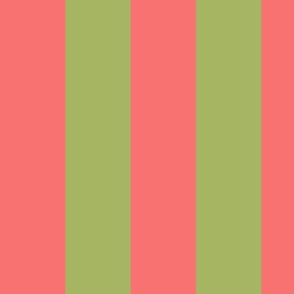 4  inch wide cabana vertical awning  stripes in pink and green.