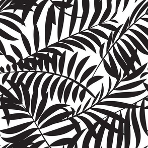 Palm leaves | Medium | Black and white