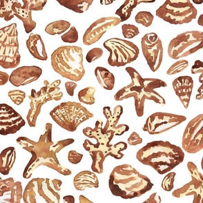 large - Sea shells in beige and brown watercolor tossed on white