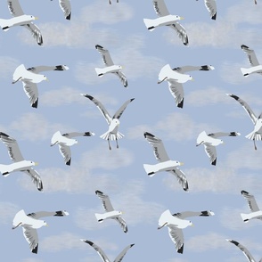 Seagulls with Clouds