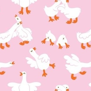 Geese time_on pink
