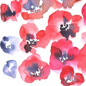 Poppies