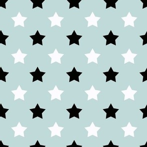 Star pattern. White, black stars on a light turquoise background.