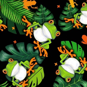 Tropical Tree  Frogs