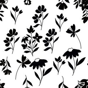 Ebony Black Flowers on White Background