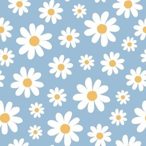  Daisy, florals, daisies, blue, white