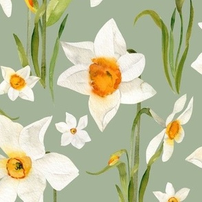 Large / Daffodil Garden on Sage