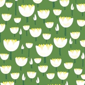 White Waterlillies on green
