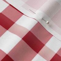 Classic Red Gingham Check Seamless Pattern