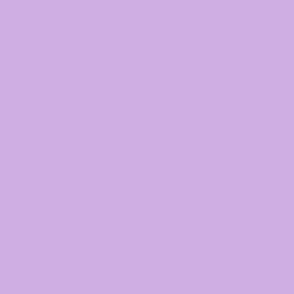 Soft pastel lilac hex cfaee4