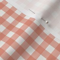 Coral  Gingham Check