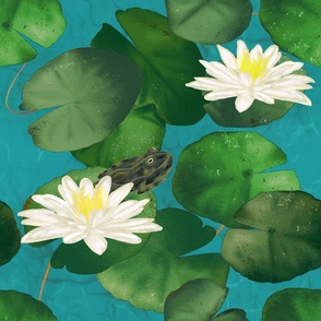 Your Pad or Mine? Frogs and Lily Pads