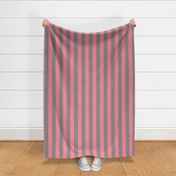 2” Pink and Grey Vertical Stripes