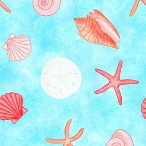 Seashells, Starfish, and Sand Dollars: A Fun Beach Themed Pattern