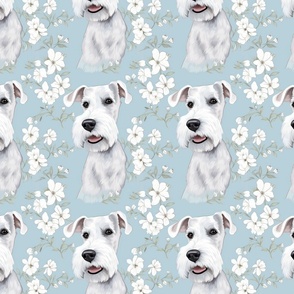 White schnauzer pup with flowers and a blue background