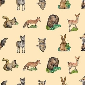 Forest Animals Cream