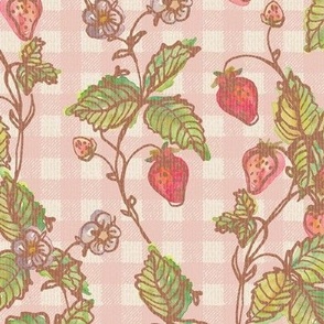 Climbing Strawberry Vines in Watercolor on Gingham Check with Soft Sun Bleached Texture 
- Baby Pink