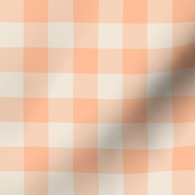 Peach Fuzz Gingham Checks Pantone Color of the Year 2024 - Medium Scale 