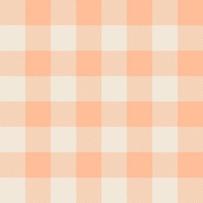 Peach Fuzz Gingham Checks Pantone Color of the Year 2024 - Medium Scale 