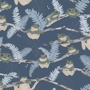 Green Tree Frogs with Blue Ferns Sitting on Branches