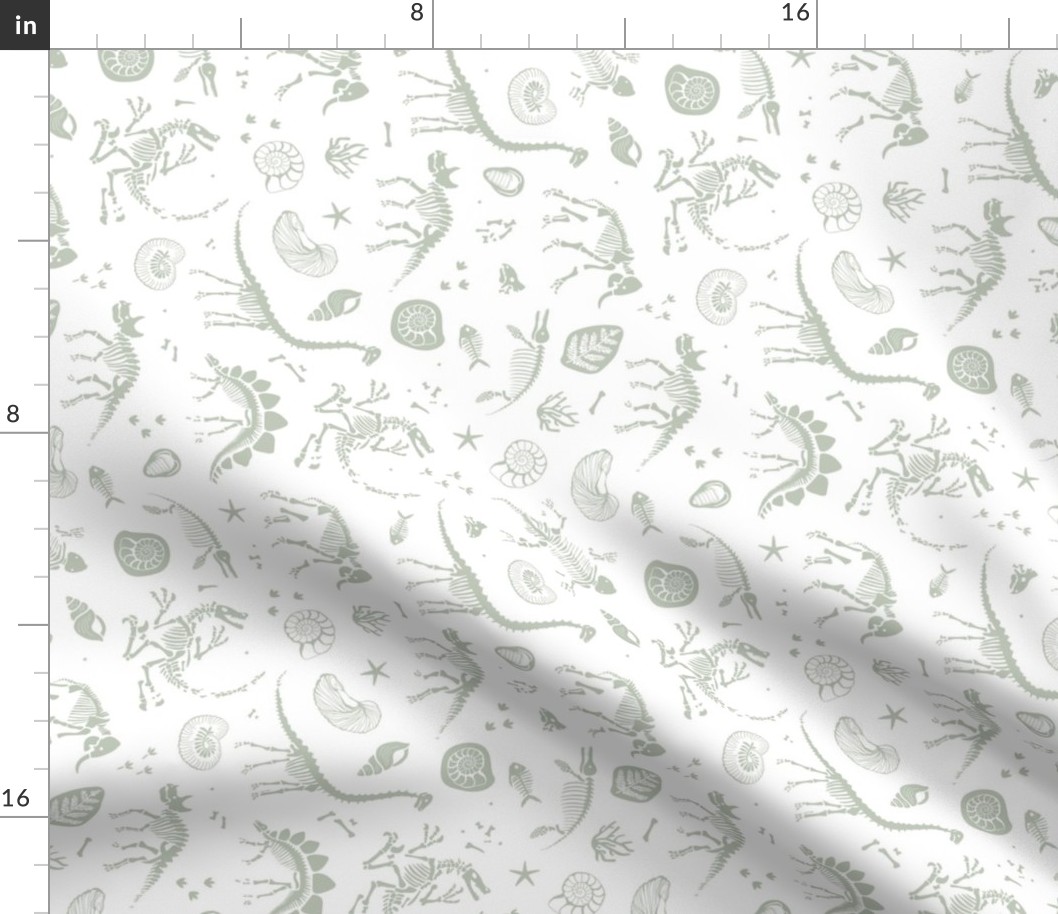 Jurassic discovery - Fossils and ammonites - paleontology studies and natural history design dinosaurs elephants shells under water creatures kids wallpaper earthy sage green on white rotated