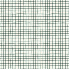 Delicate Cottagecore Hand-Drawn Gingham Plaid in Pastel Sage Green - Small Size
