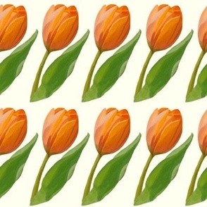 Tulips on Ivory