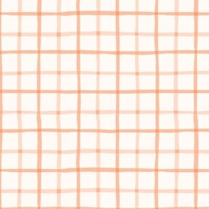 Delicate Cottagecore Hand-Drawn Plaid in Peach Fuzz - Medium Size