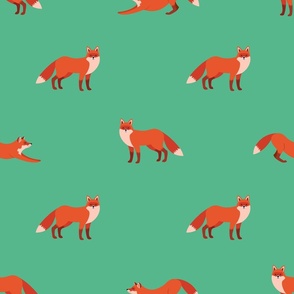 foxes