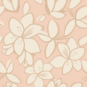 Peach lily- small