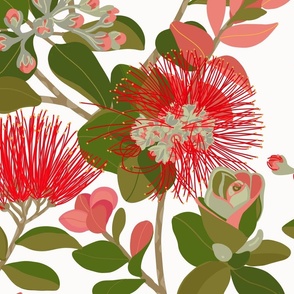 Large 'Ohia Lehua Tree on white, pohutukawa 