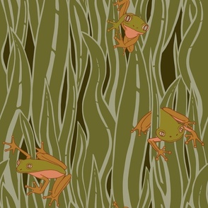 Frogs Hidden in the Tall Grasses