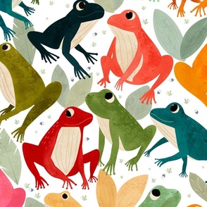 Tropical forest biome - tree frogs L