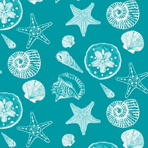Shell Sketches on  Teal  Background, Large Scale Repeat