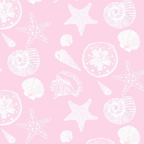 Shell Sketches on  Pink Background, Large Scale Design