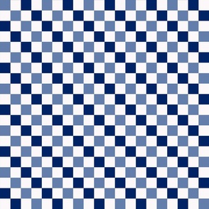 Checkerboard//Blue//Small//4"