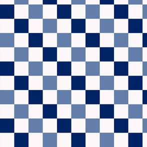 Checkerboard//Blue//Medium//7"