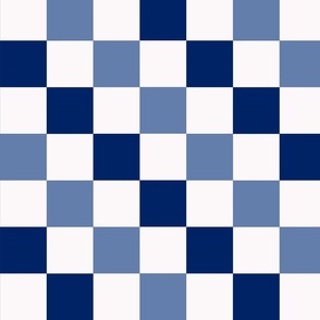Checkerboard//Blue//Large//11"