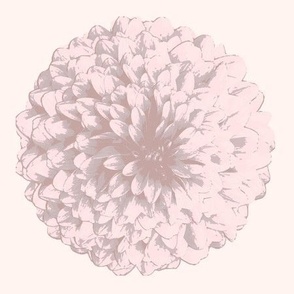 Warm Minimalism Flower by harmonyandpeace