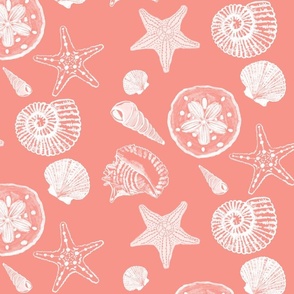 Shell Sketches on  Coral  Background, Large Scale Repeat