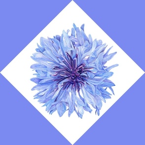 Cornflower Diamond (L)